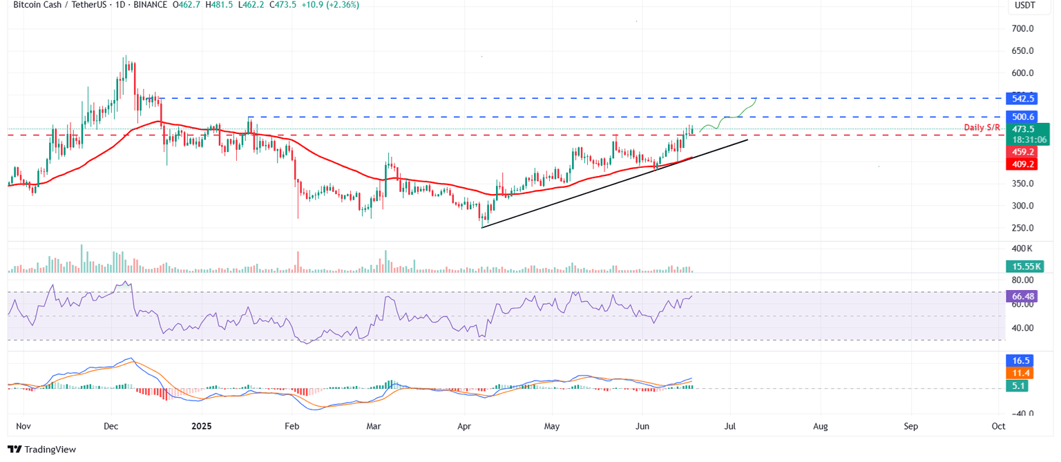 BCH/USDT daily chart