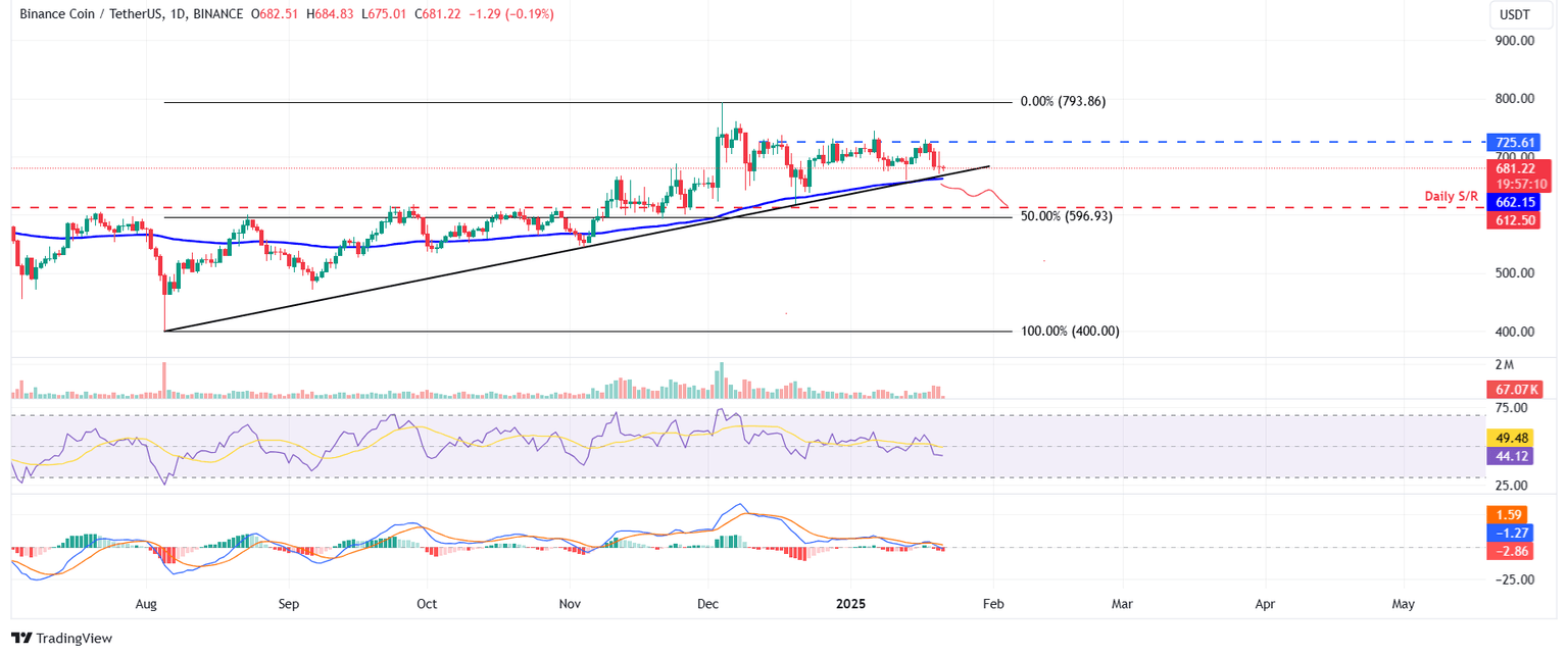 BNB/USDT daily chart
