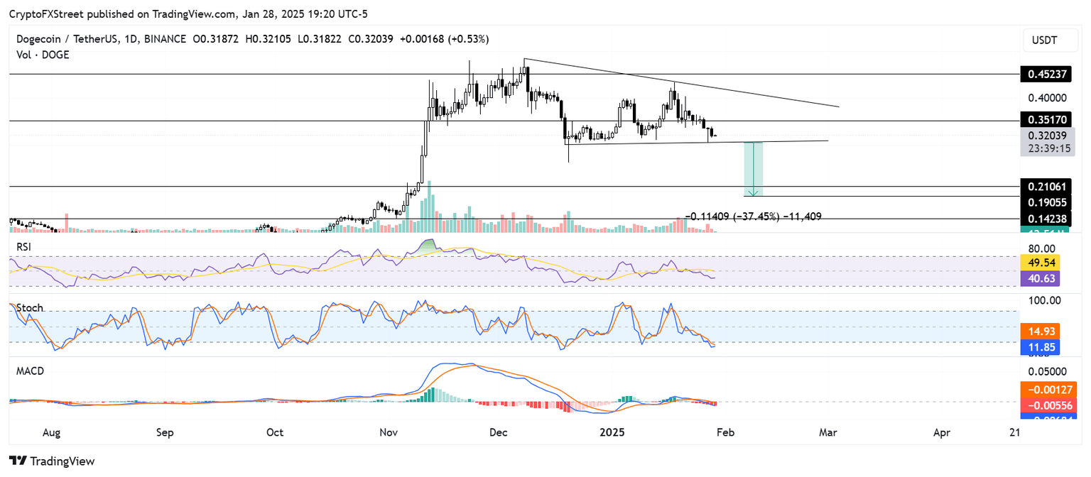 DOGE/USDT daily chart