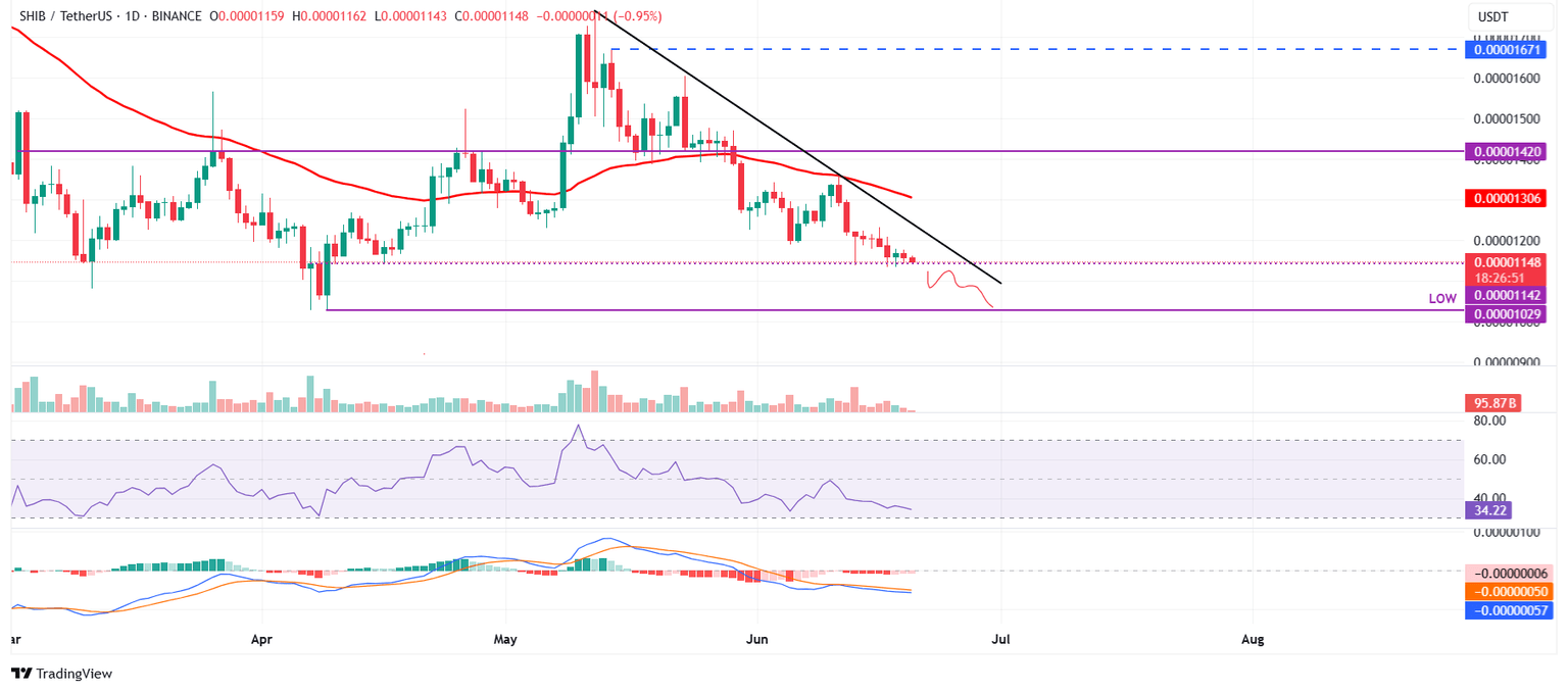 SHIB/USDT daily chart 