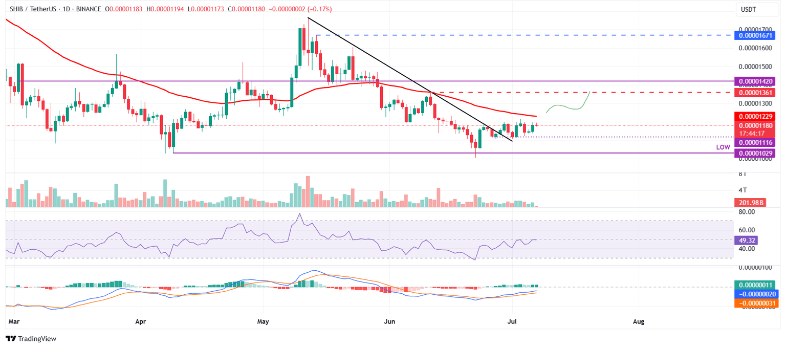 SHIB/USDT daily chart