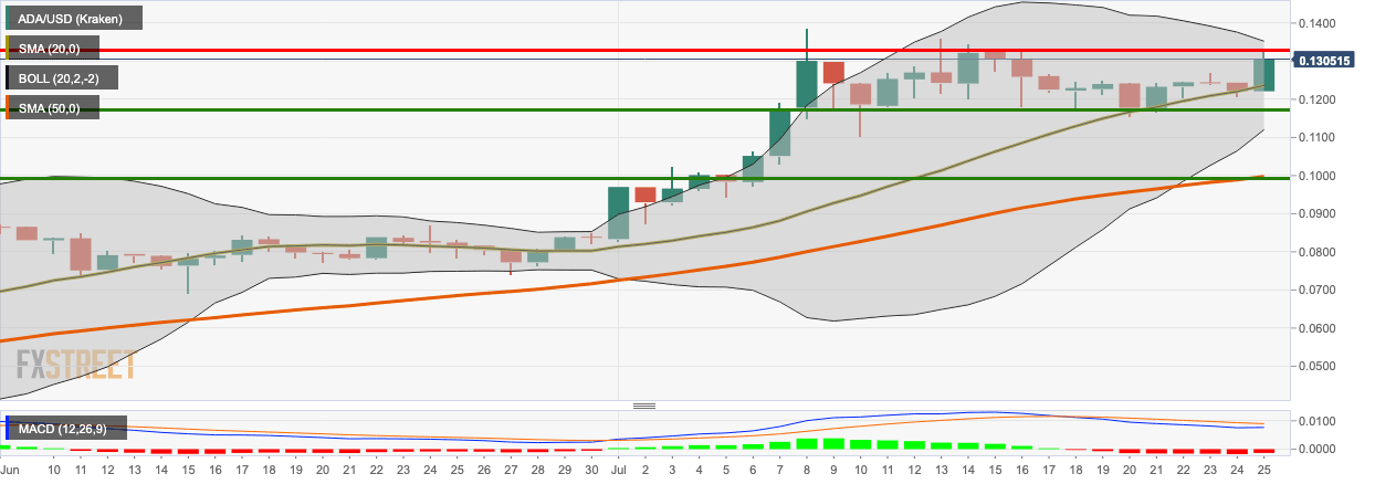 ADA/USD daily chart