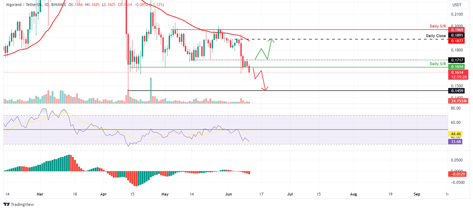 ALGO/USDT 1-day chart