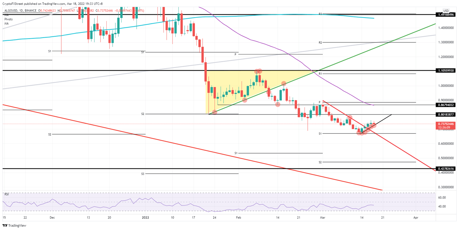 ALGO/USD daily chart