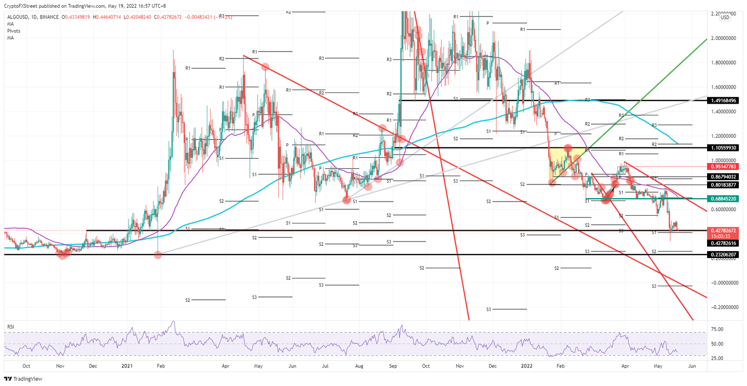 ALGO/USD daily chart