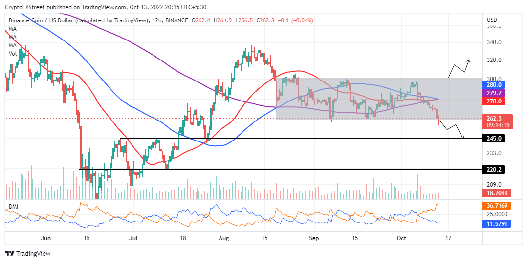 BNB/USD 12-hour chart