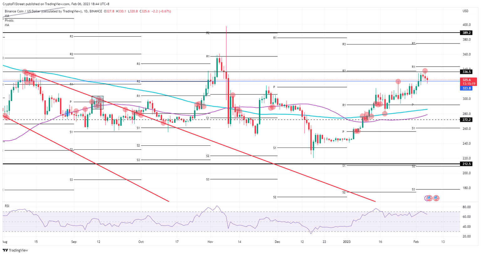 BNB/USD daily chart