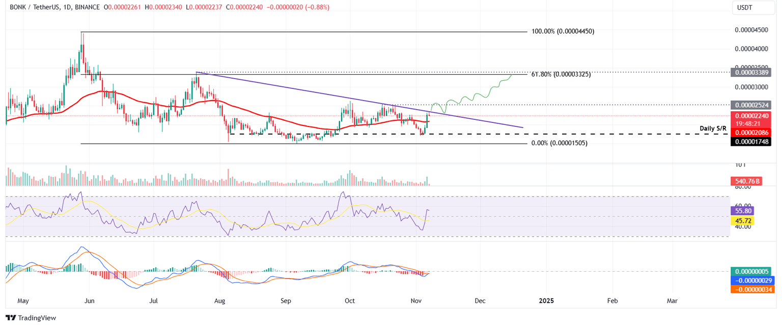 BONK/USDT daily chart