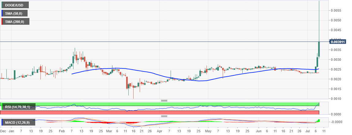 DOGE/USD price chart