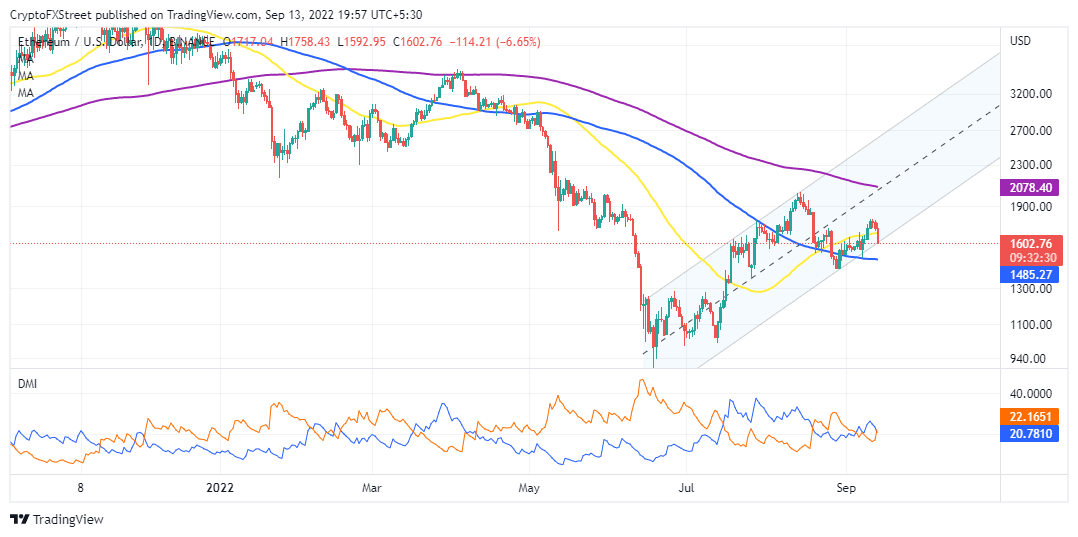 Ethereum IOMAP model