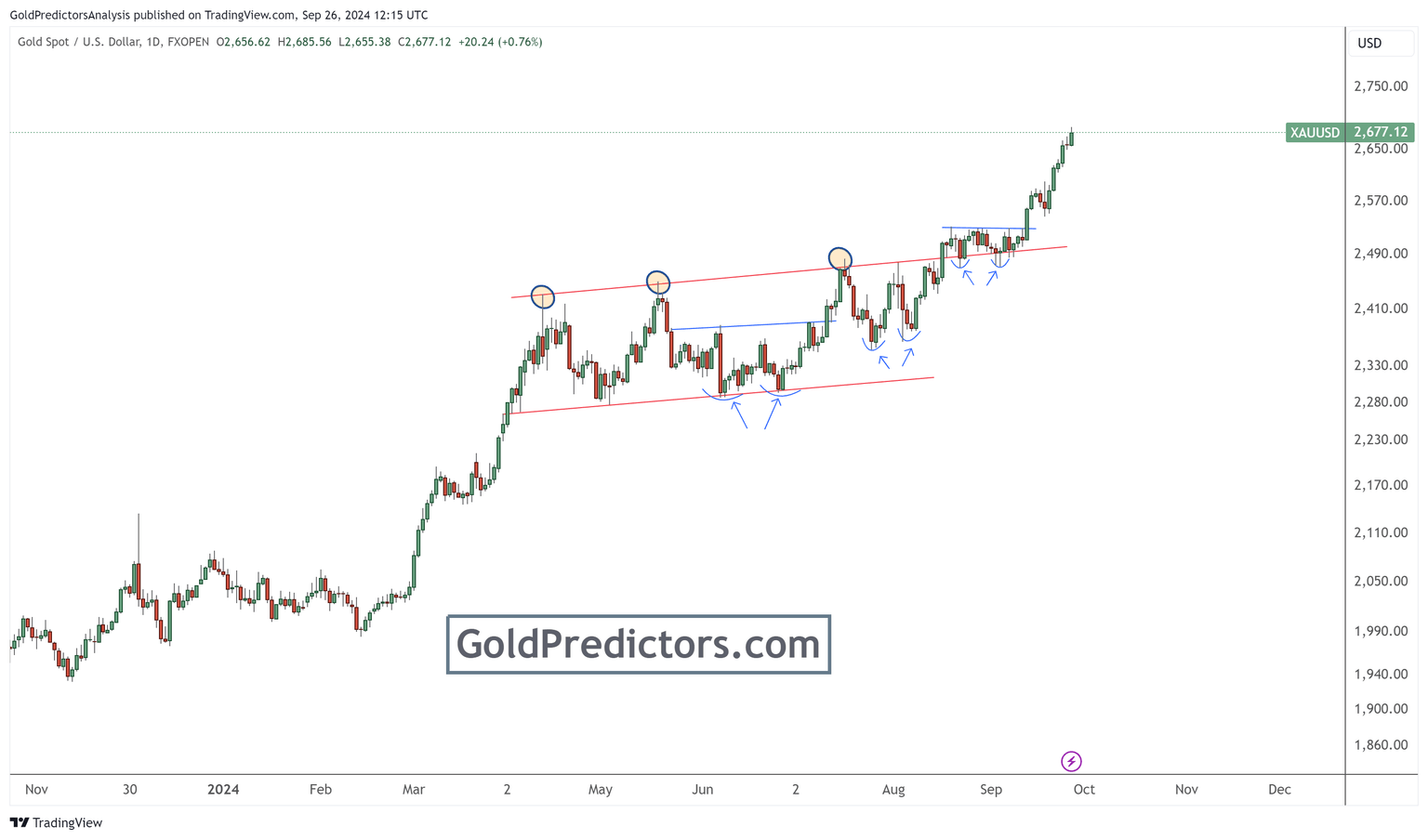 gold daily