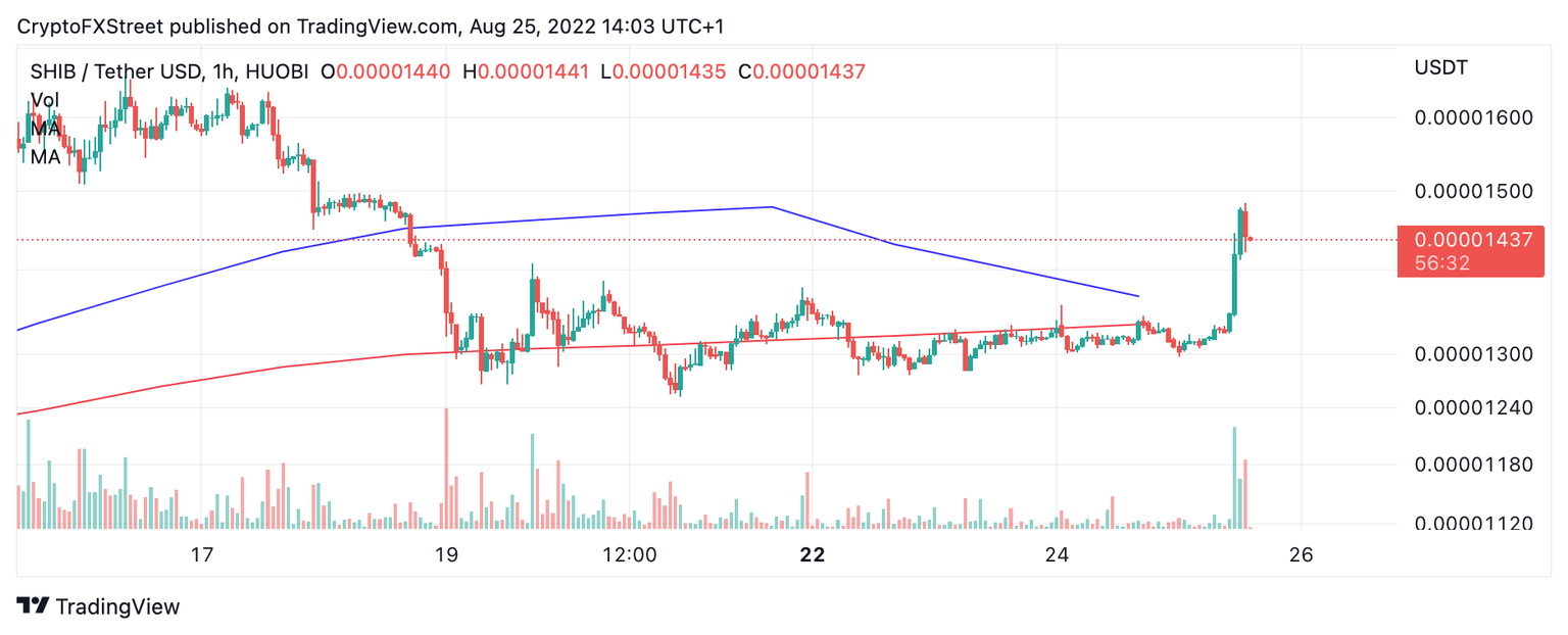 tm/shib/1-hour chart