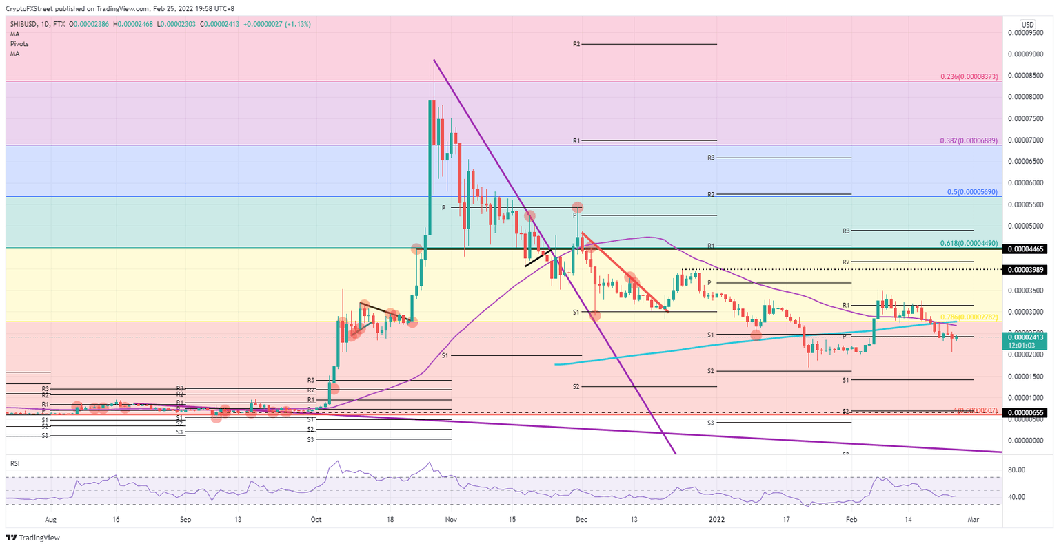 SHIB/USD daily chart