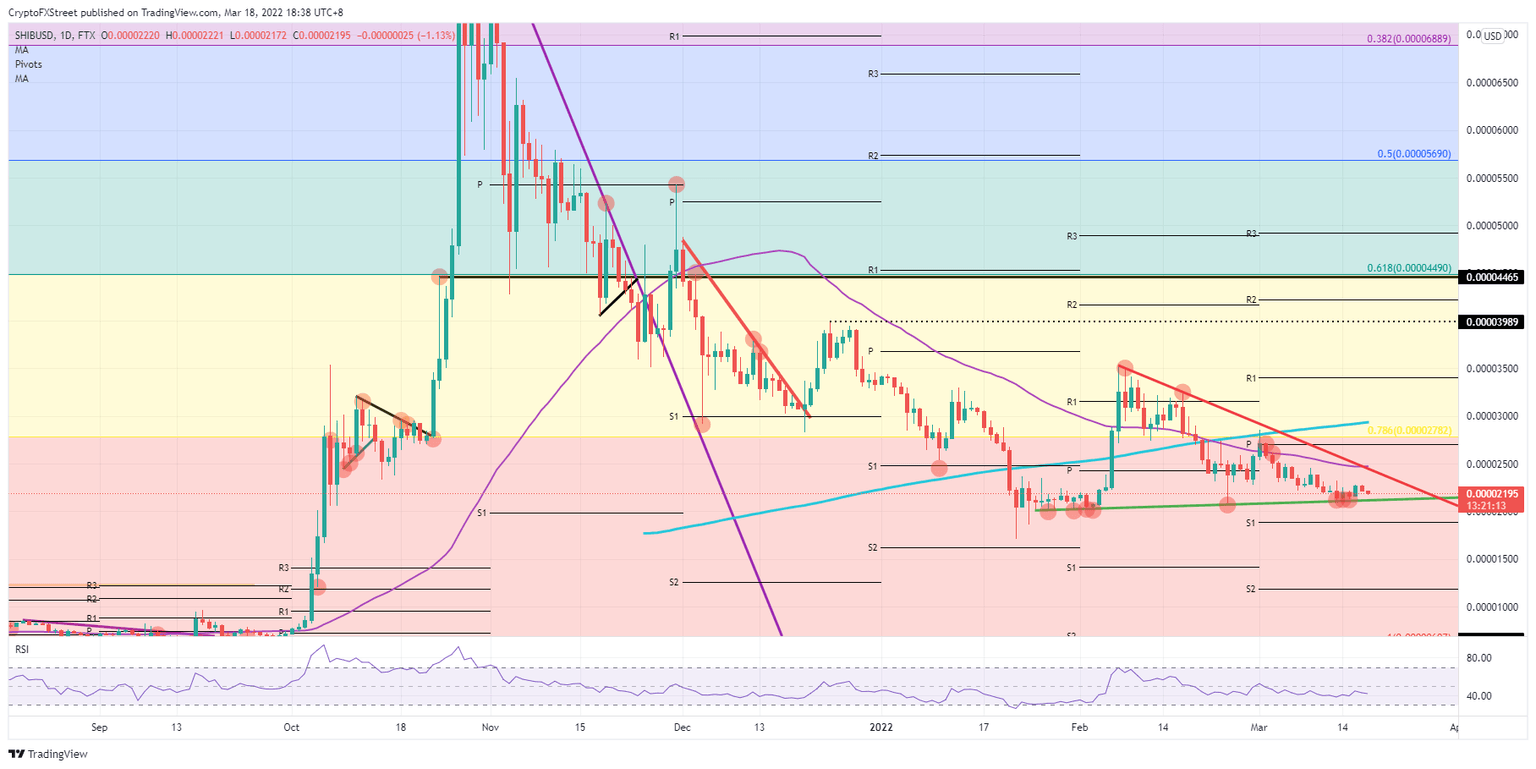 SHIB/USD daily chart