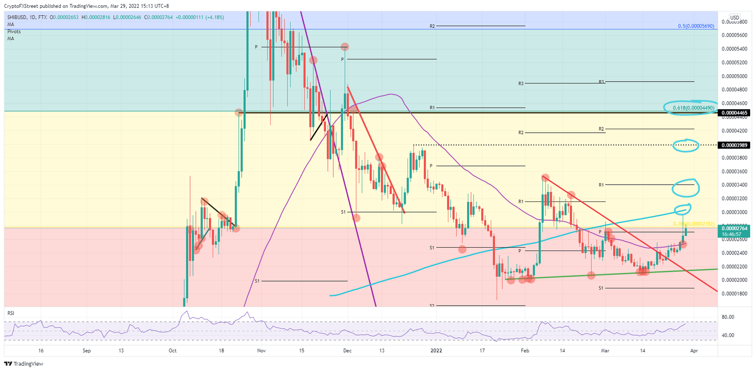 SHIB/USD daily chart