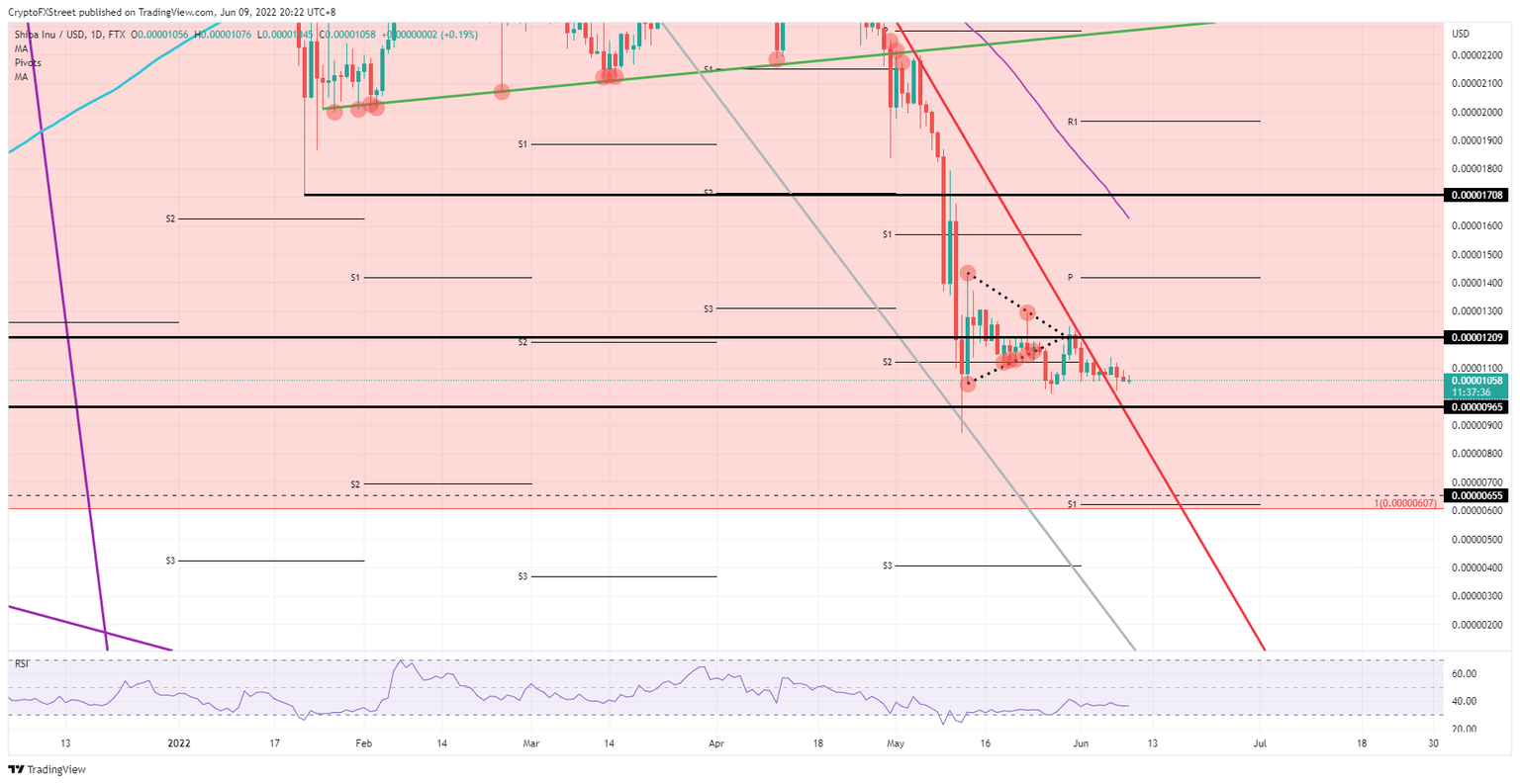 SHIB/USD daily chart