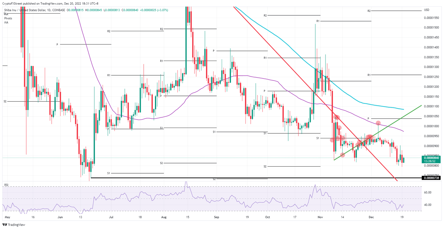 SHIB/USD daily chart