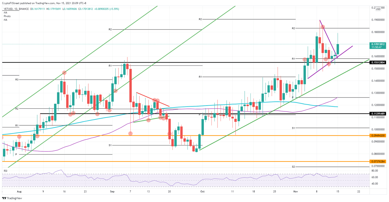 VET/USD daily chart