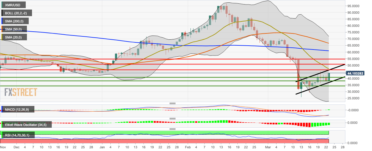 XMR/USD daily chart