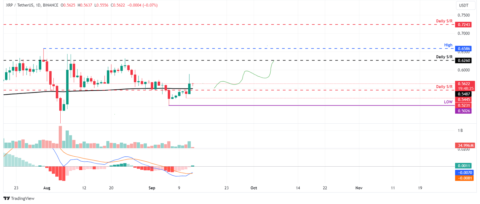 XRP/USDT daily chart