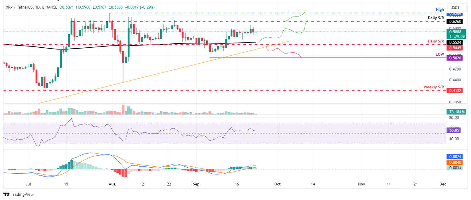 XRP/USDT daily chart