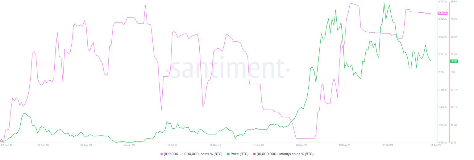 BTC supply distribution chart