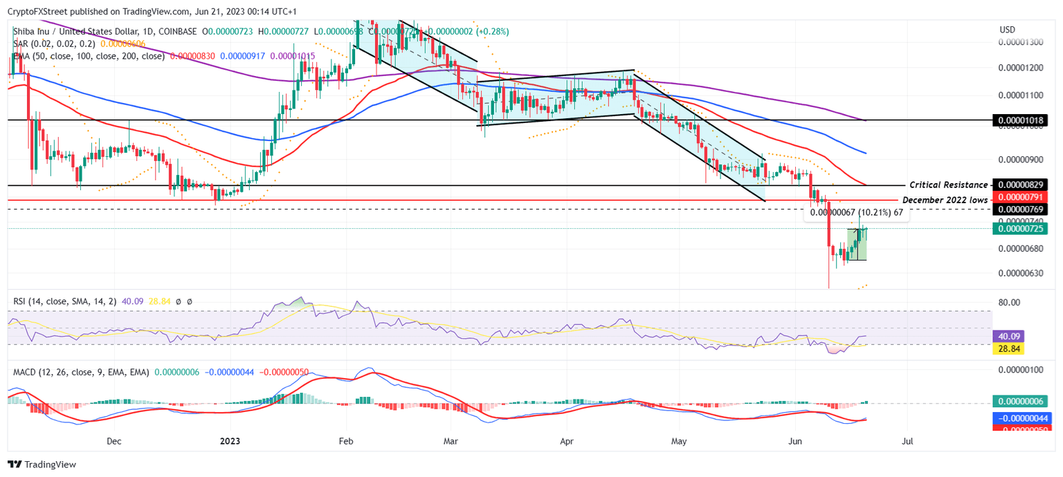 SHIB/USD 1-day chart