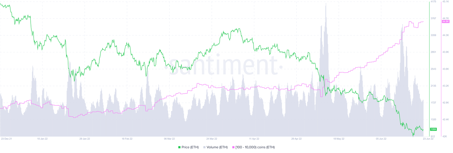 ETH supply distribution