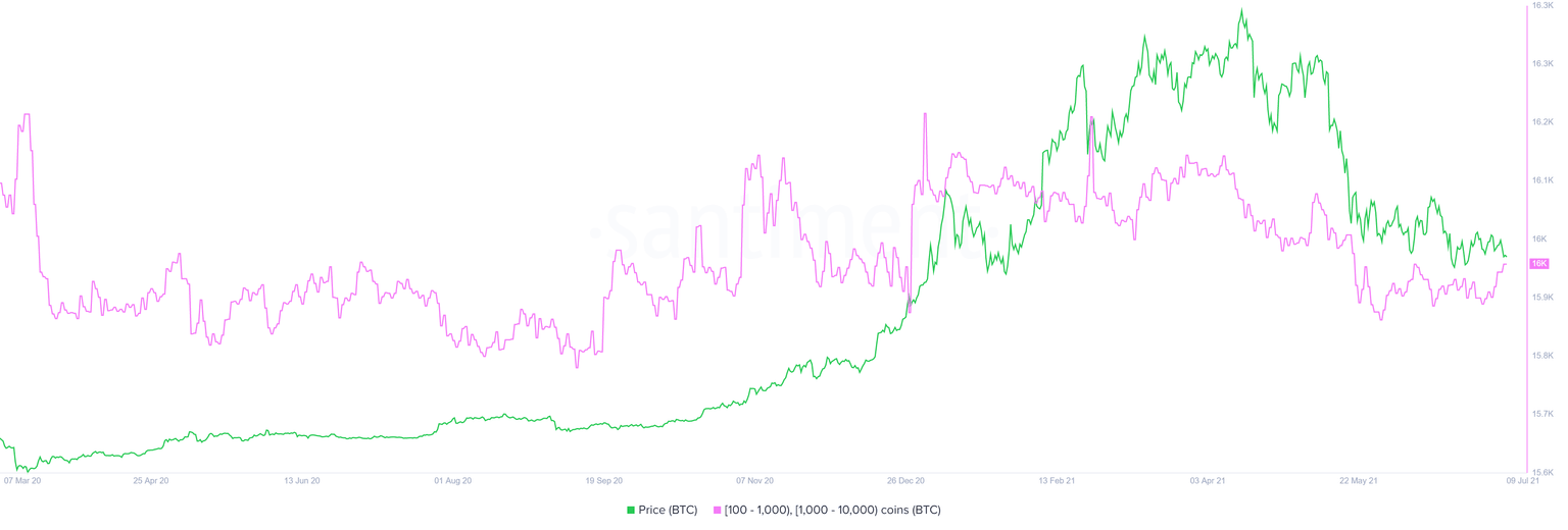 Bitcoin supply distribution chart