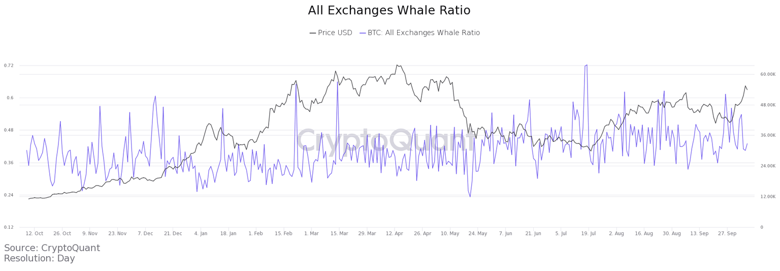 BTC Whale Ratio chart