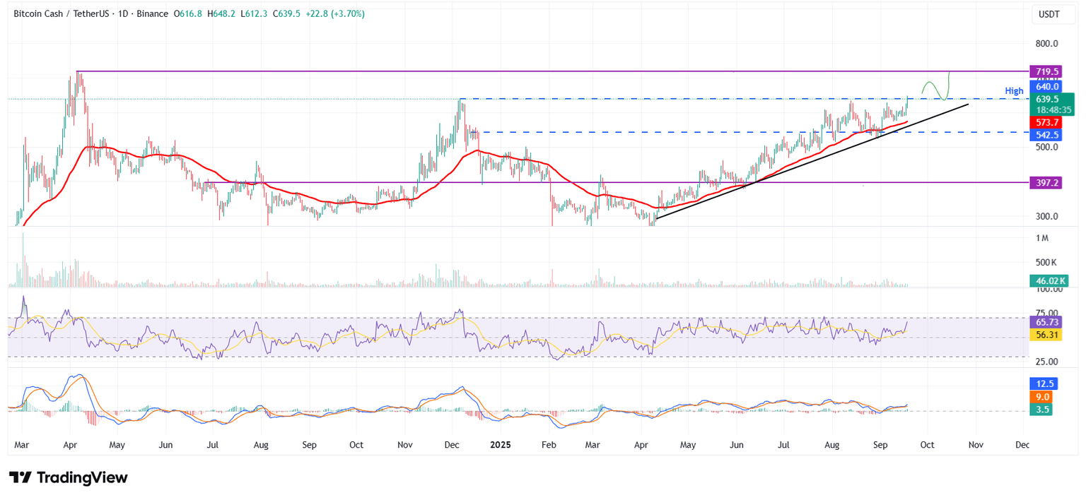 BCH/USDT daily chart