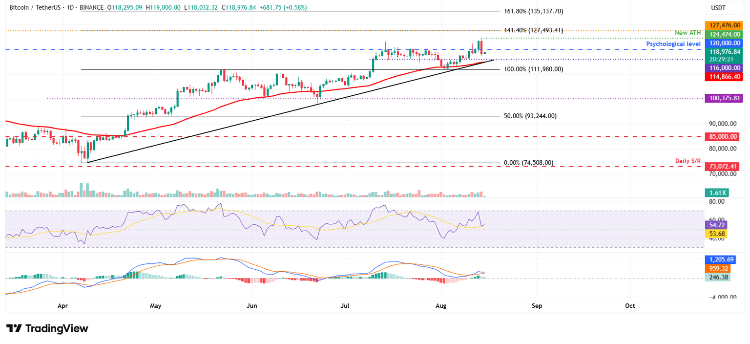 BTC/USDT daily chart