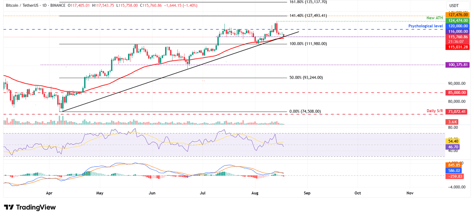 BTC/USDT daily chart