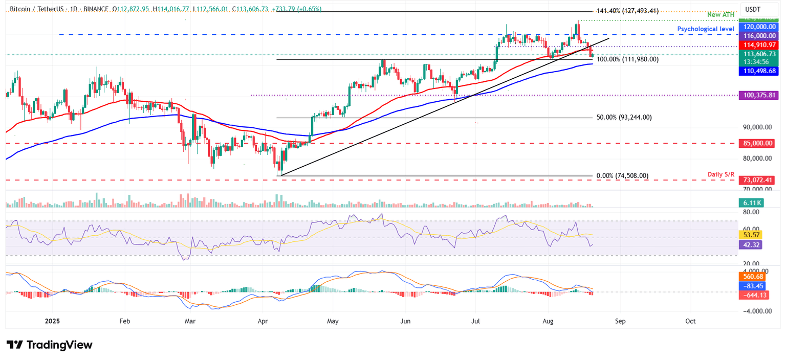 BTC/USDT daily chart