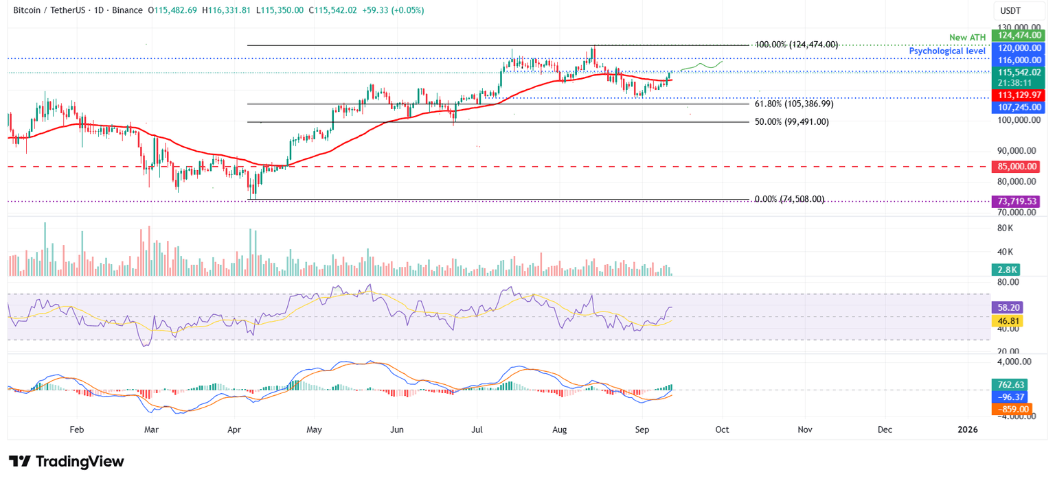 BTC/USDT daily chart