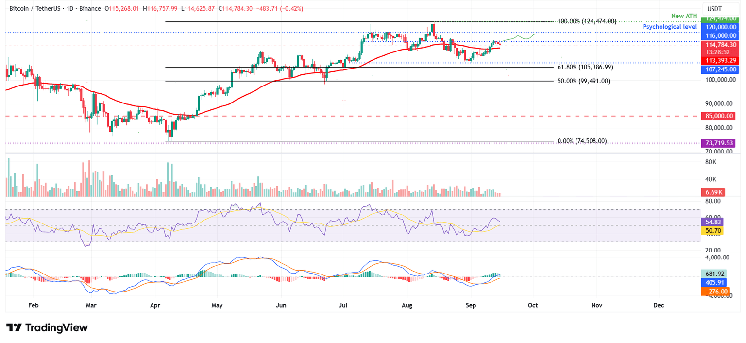 BTC/USDT daily chart