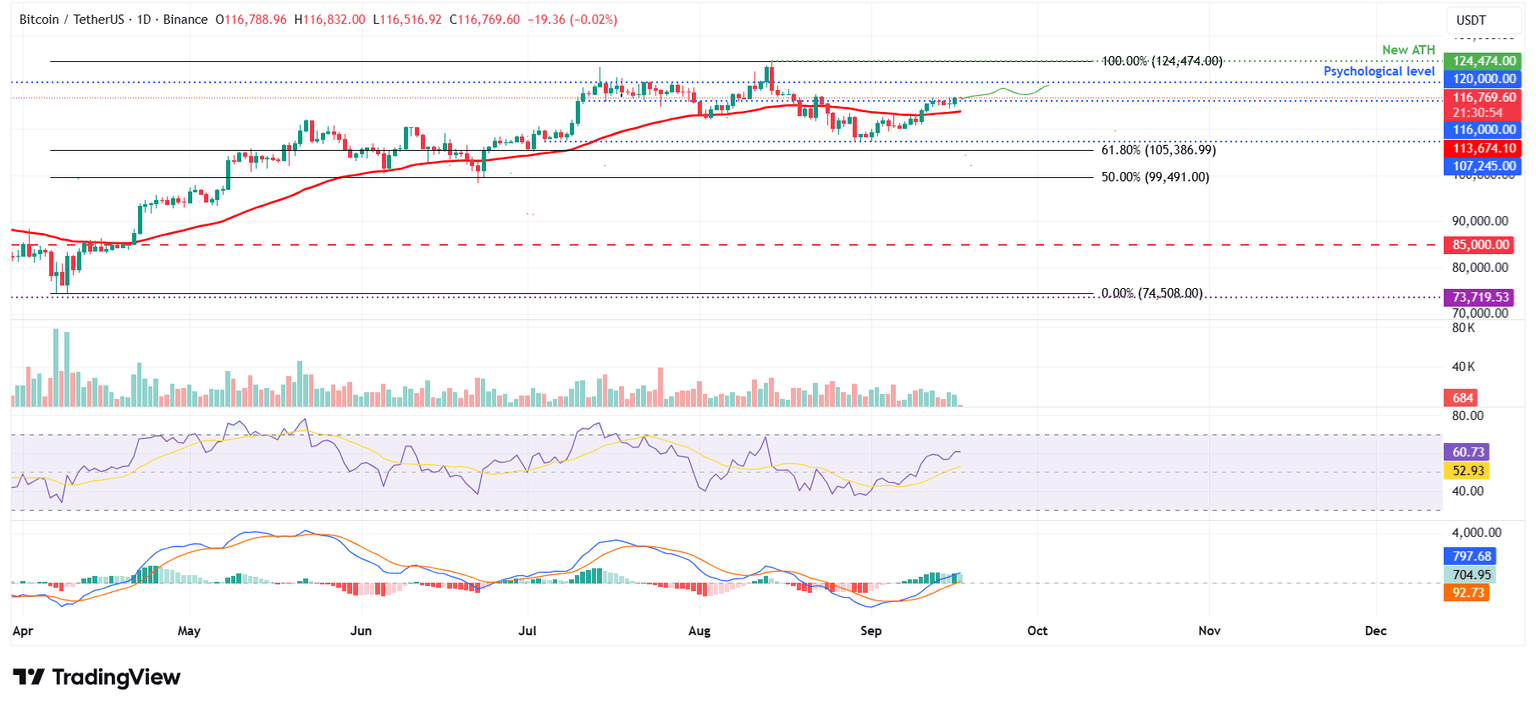 BTC/USDT daily chart