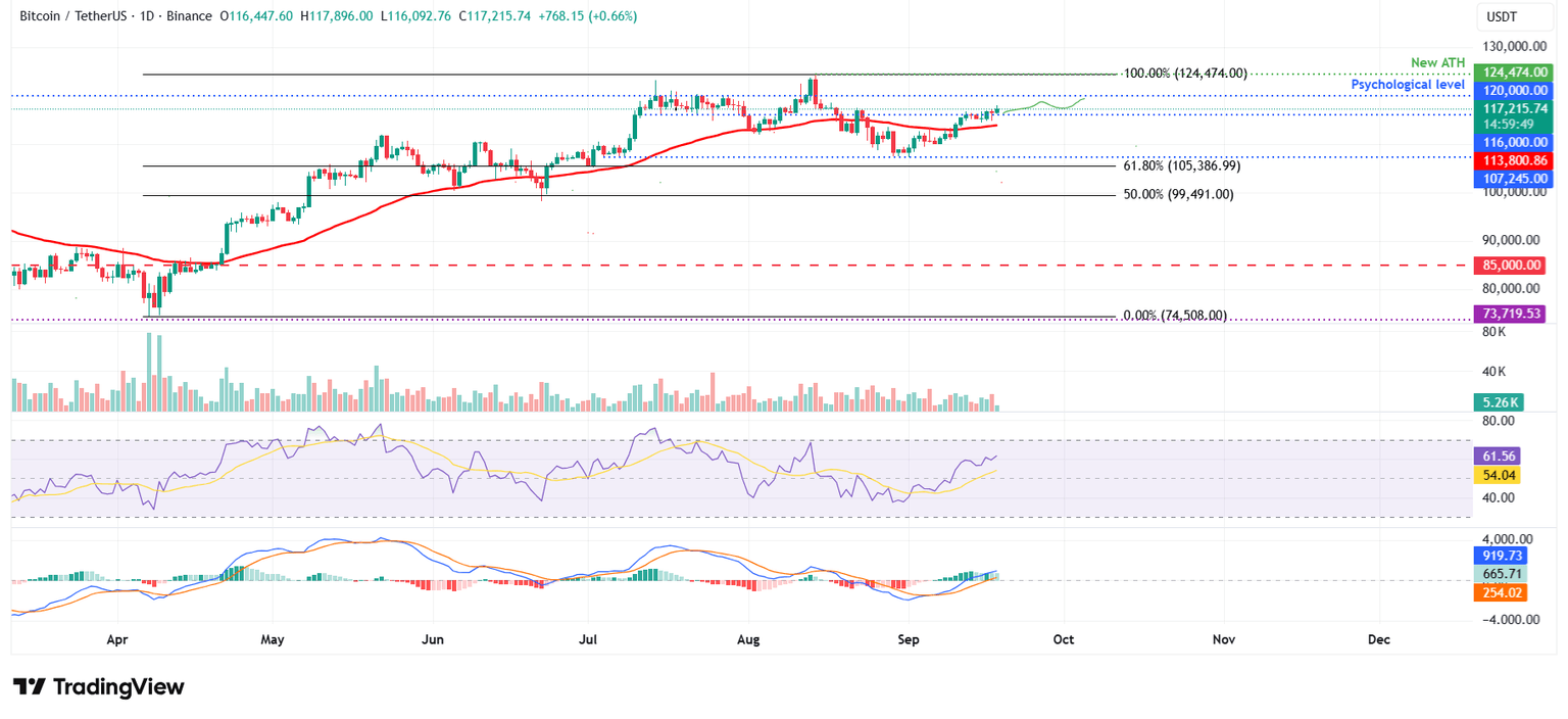 BTC/USDT daily chart