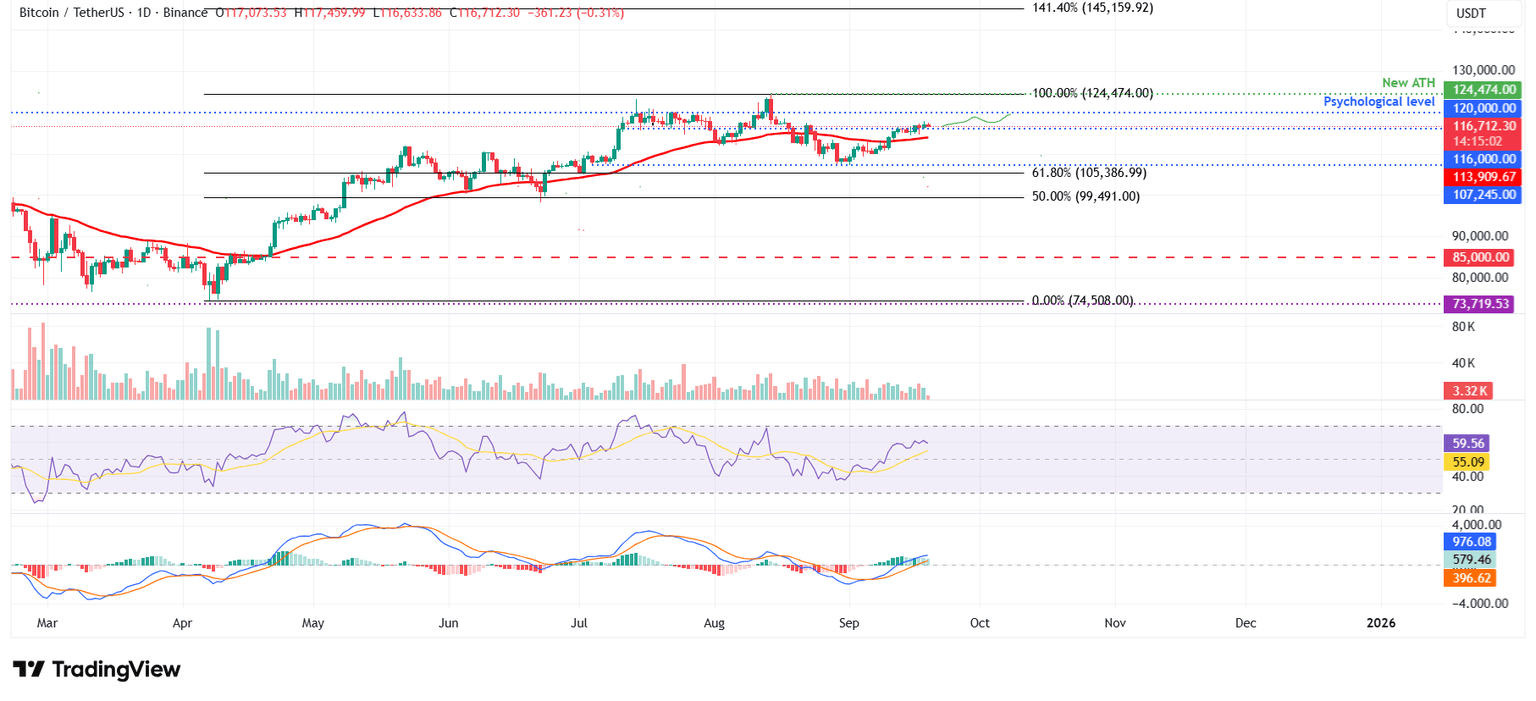 BTC/USDT daily chart