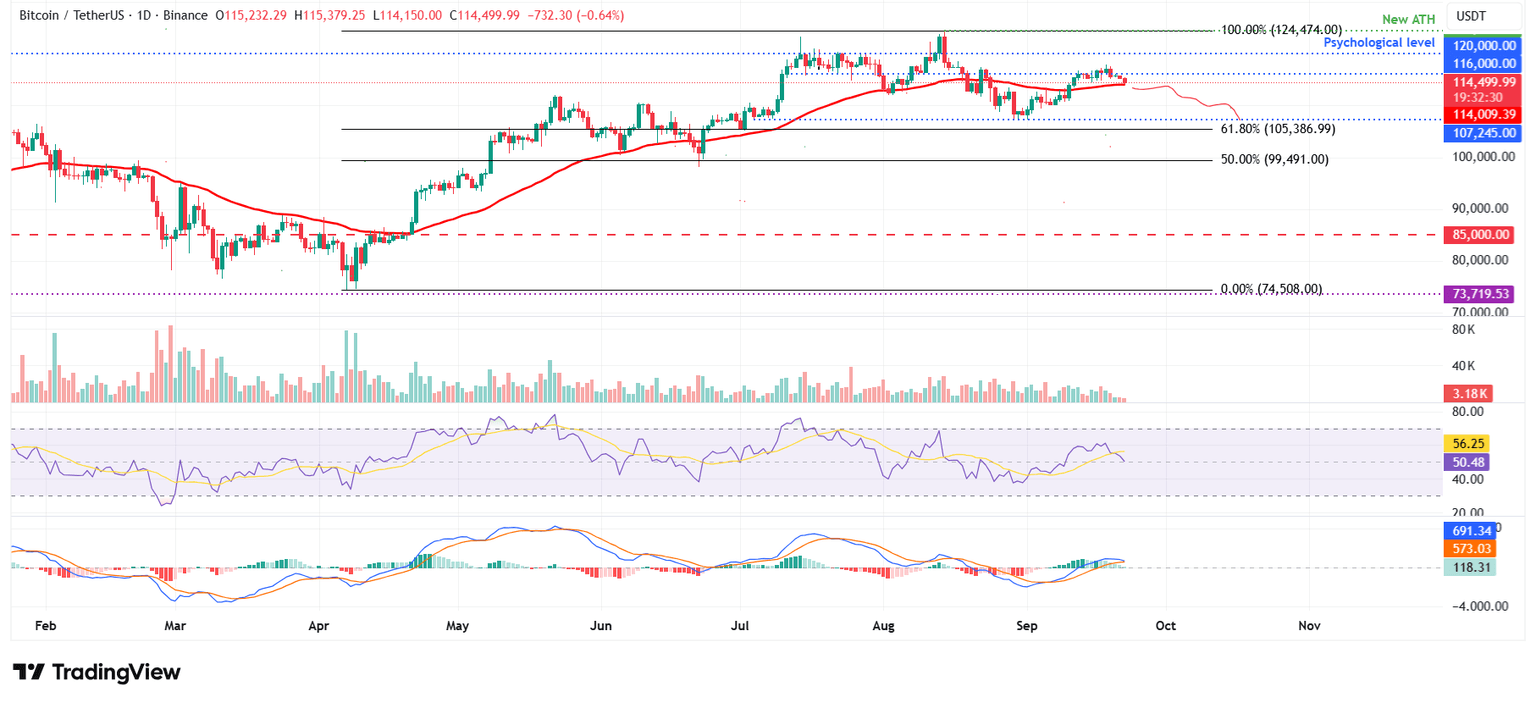 BTC/USDT daily chart