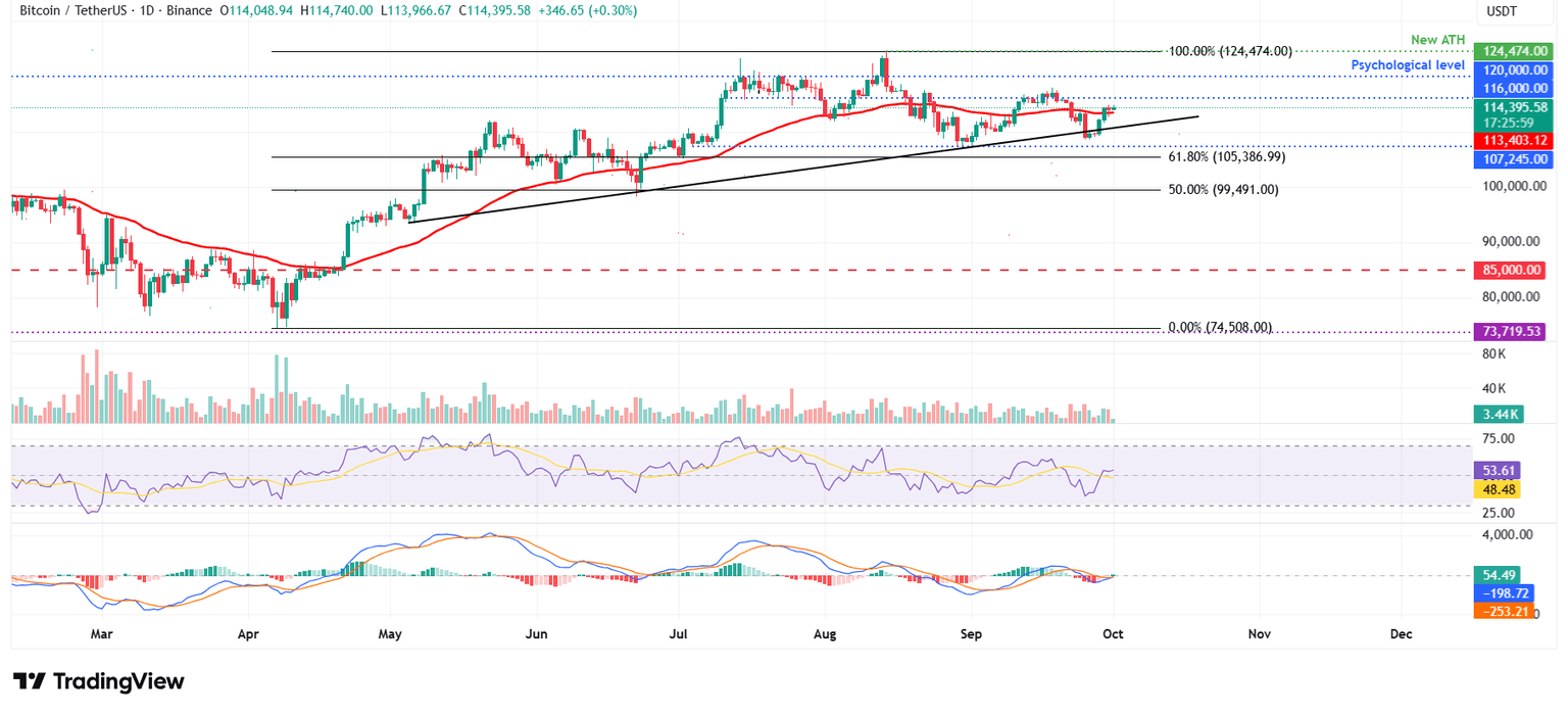 BTC/USDT daily chart