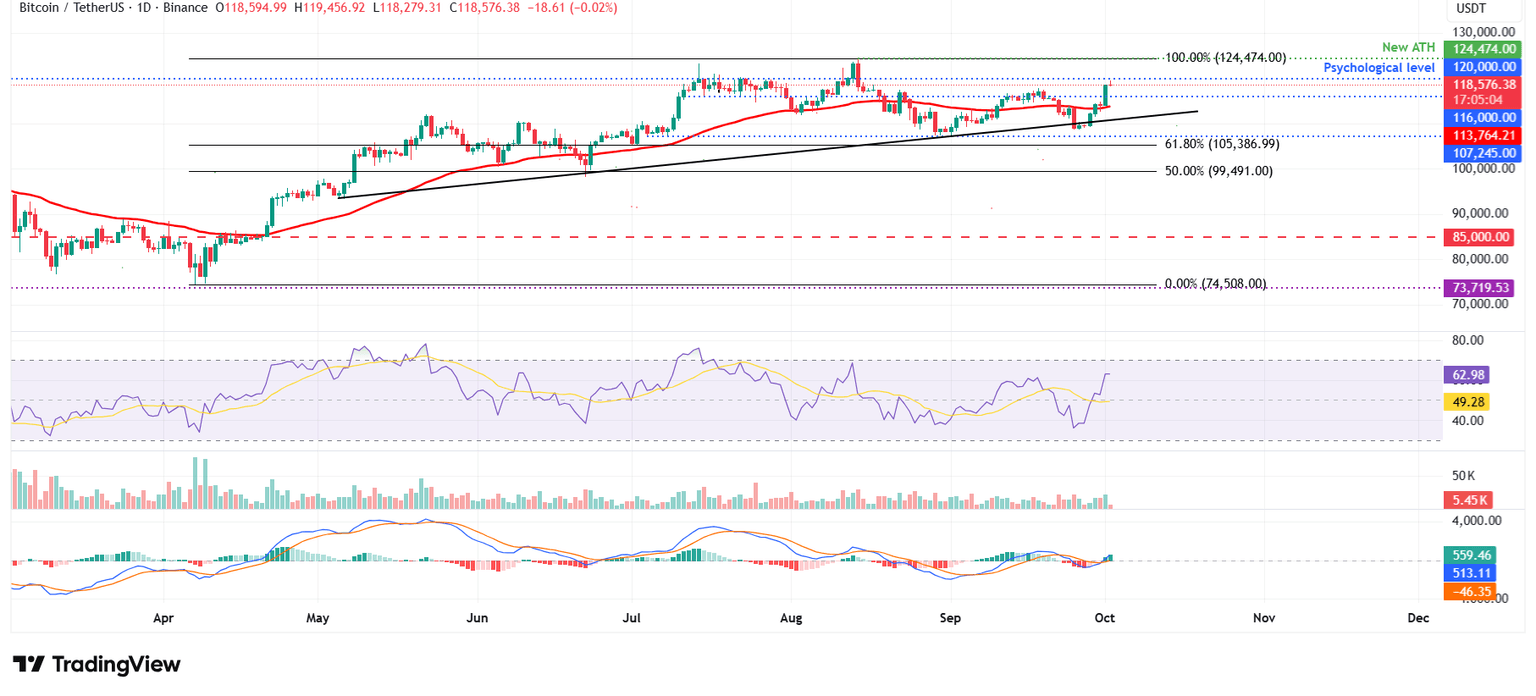 BTC/USDT daily chart