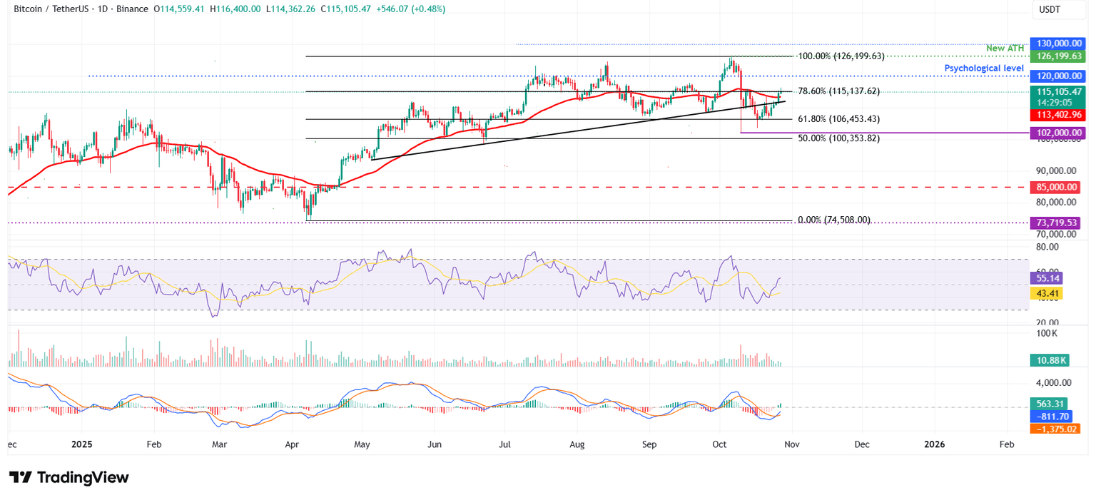 BTC/USDT daily chart