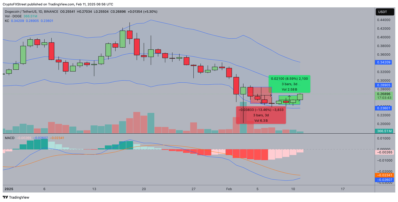 Dogecoin Price Forecast | DOGEUSDT
