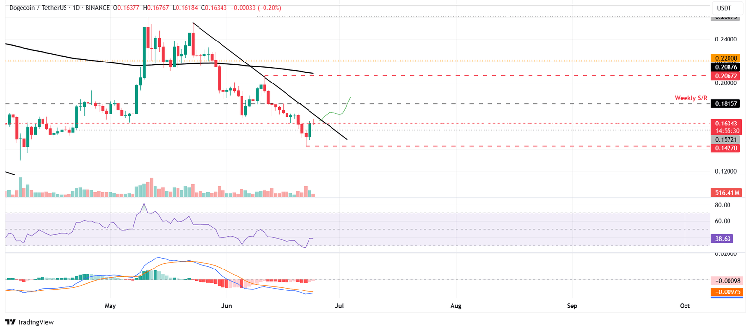 DOGE/USDT daily chart