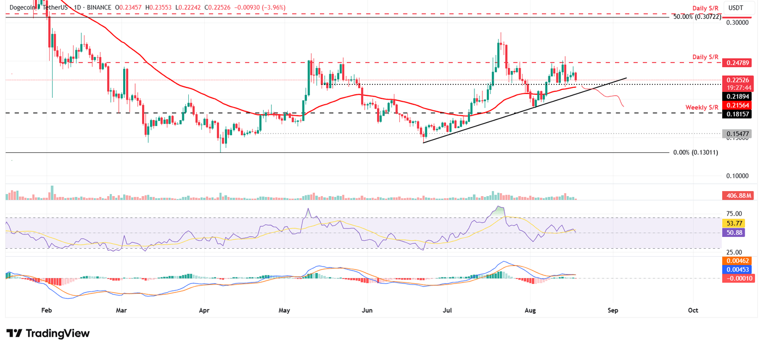 DOGE/USDT daily chart
