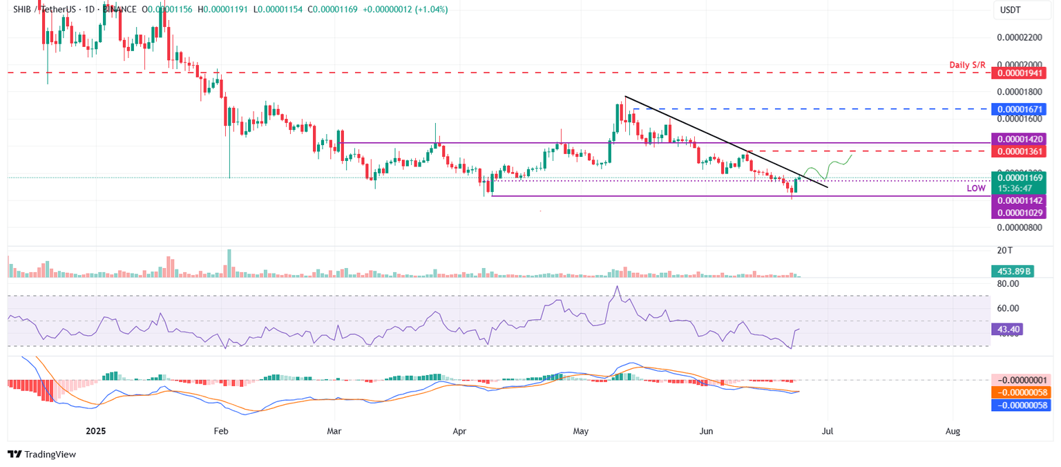 SHIB/USDT daily chart