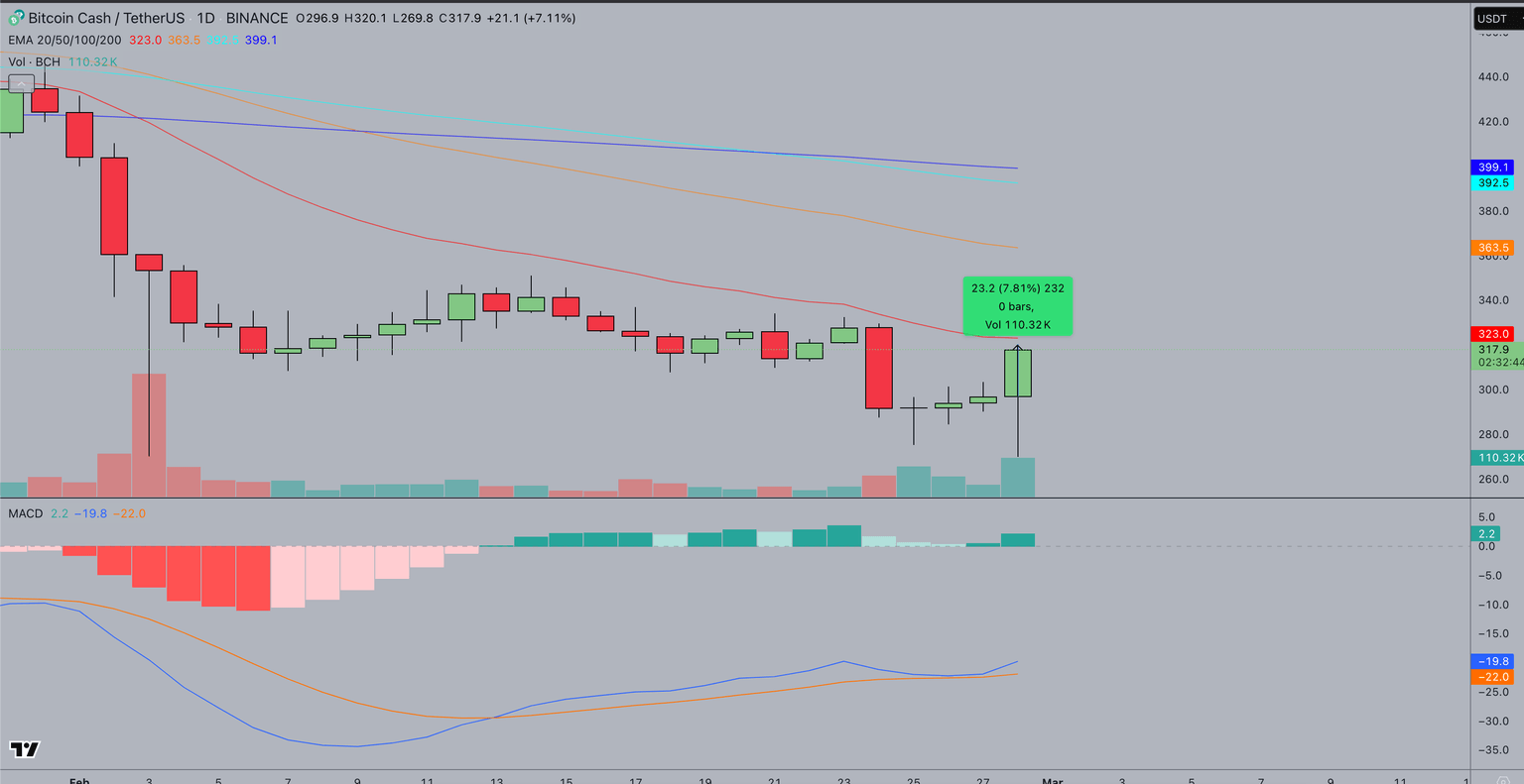 BCH Price Prediction