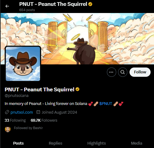 PNUT twitter handle page.