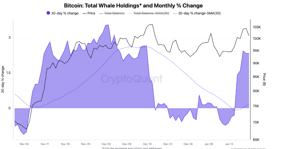 December 2024: Key Appointments Signal Pro-Crypto Stance